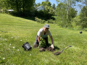 River Steward planting tree