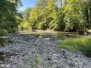 Mill River in Northampton During the 2022 Drought