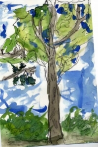 tree watercolor