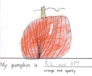 pumpkin drawing