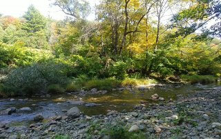 Green River in September, Guilford, VT