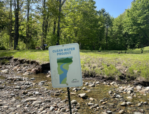 Connecticut River Conservancy Completes Two Woody Buffer Plantings