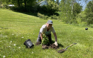 River Steward planting tree