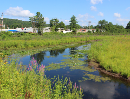 Long Island Sound River Restoration Network Submits Testimony on Dam Safety in CT