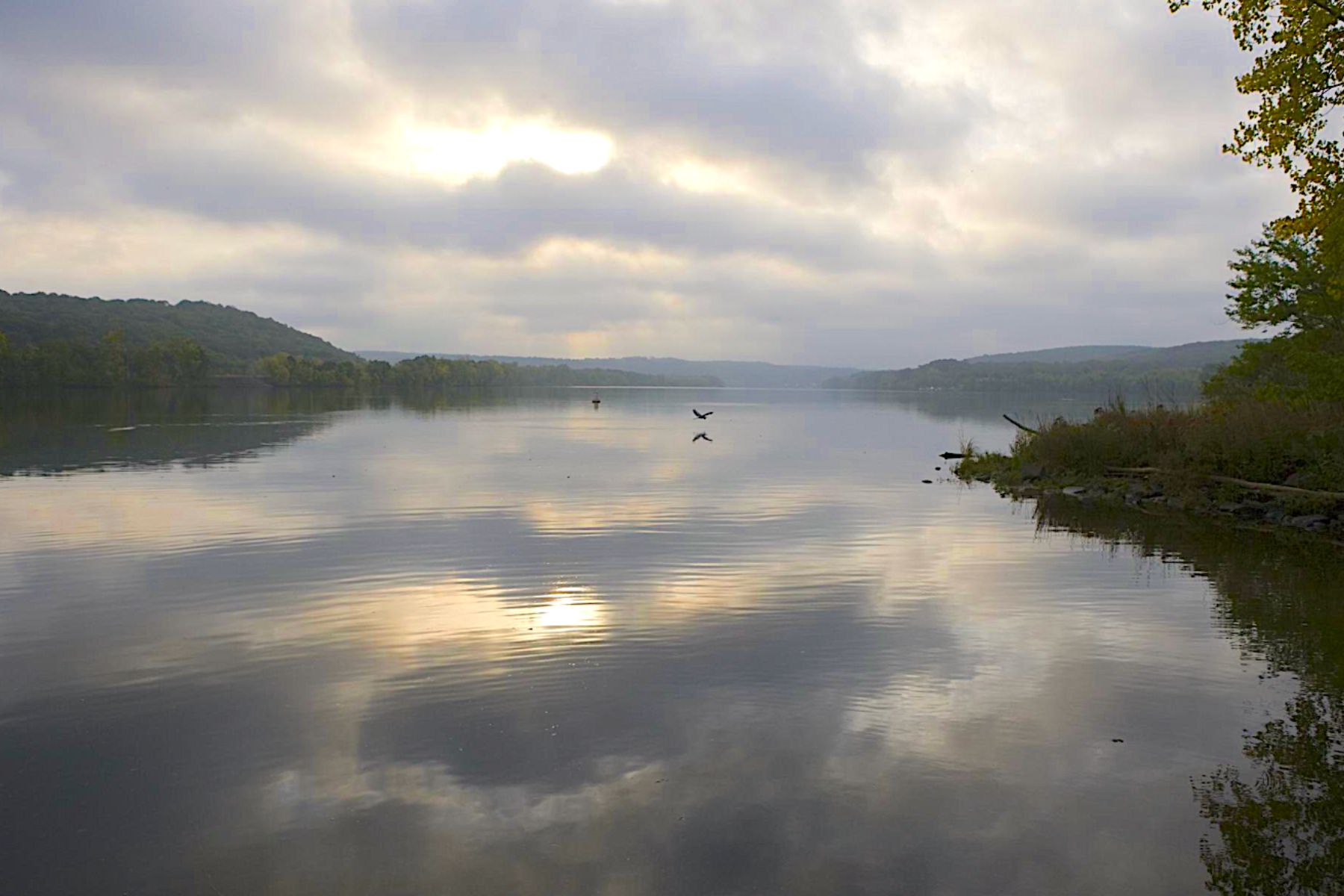 Sunset river image with birds flying