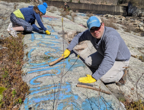 Affiliate Spotlight: Deerfield River Watershed Association