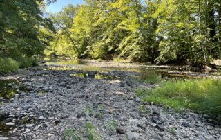 Mill River in Northampton During the 2022 Drought