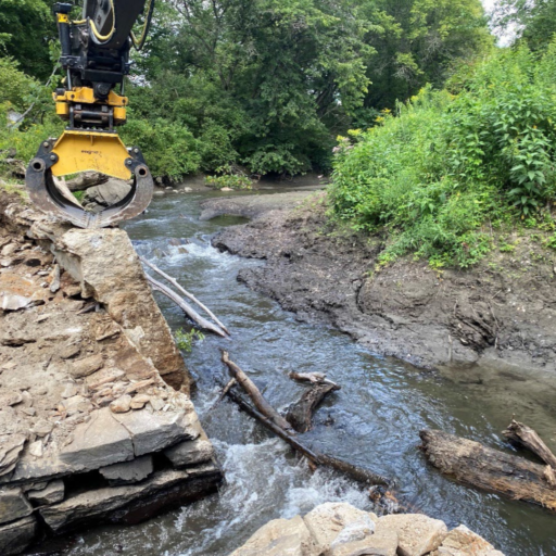 Dam removal