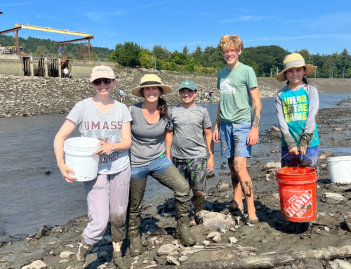 Sea Lamprey Rescue for Community Science & Conservation