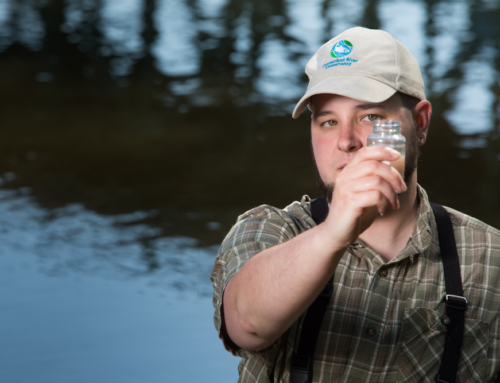 Connecticut River Conservancy Receives MassDEP Grant for Water Quality Monitoring