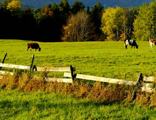 Farmers in VT and NH Invited to Take Survey